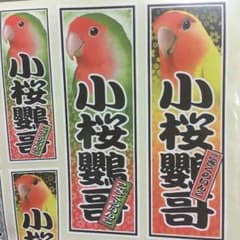 コザクラインコ 千社札シールのサムネイル