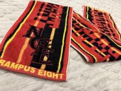 美品】名古屋グランパス タオルマフラー - メルカリ