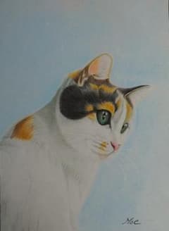 三毛猫の色鉛筆画 りんちゃん サイズ17．7㎝×13㎝ - メルカリ