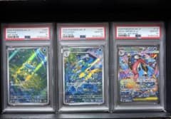 PSA10】ケロマツゲコガシラ メガゲッコウガex SAR 3連番 進化ライン