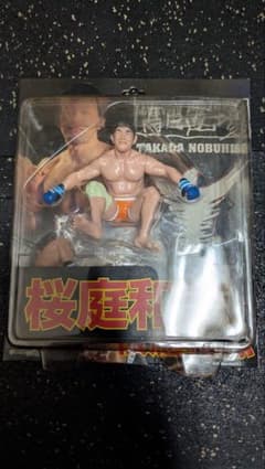 桜庭和志 フィギュア - メルカリ
