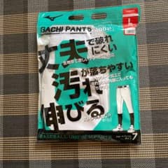 MIZUNO 野球 練習着 パンツ 12JD9F600のサムネイル