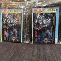 [비매품] WHG × GUNPLA45주년 콜라보레이션 RX-78-2 건프라