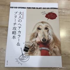 大人のヘアカラー&ブリーチ攻略本のサムネイル