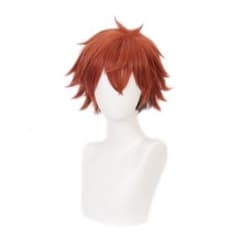 ツイステ　エース　ウィッグ　コスプレのサムネイル