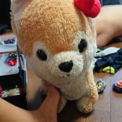 犬のサムネイル
