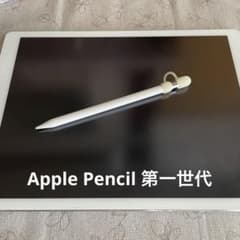 Apple Pencil 第1世代 (A1603) アップルペンシル Apple Pencil（第1世代）を検証レビュー！iPad用タッチペンの選び方も