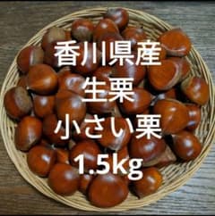 香川県産 生栗 小さい栗 M 1.5kgのサムネイル