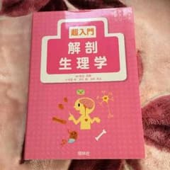 解剖生理学のサムネイル