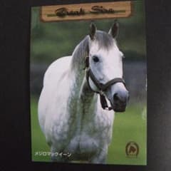 メジロマックイーン Great Sire 1997 EPOCH カード　馬のサムネイル