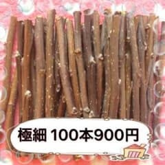 かじり木 りんご 極細 200本のサムネイル