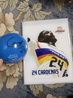 東レアローズ静岡 #24 フリオ選手のサムネイル