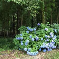 ナナナ様 専用のサムネイル