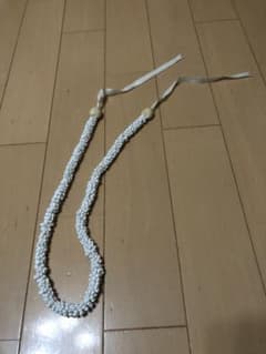 シェルレイのサムネイル
