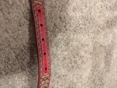 COACH 犬の首輪　未使用のサムネイル