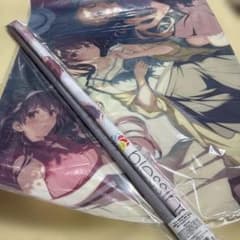 ⭐︎さかいページ⭐︎他の方は落札不可⭐︎ 未使用・2点セット 冴えない彼女の育てかた 深崎暮人 タペストリー