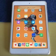 iPad mini（iOS12.5.2）のサムネイル