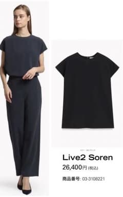 theory luxe LIVE2 ブラウス Soren 黒 40 - メルカリ
