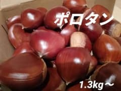 生栗　ポロタン　サイズ中〜大　1.3kg〜のサムネイル