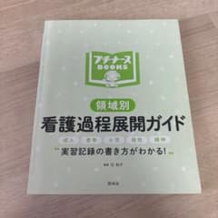 領域別看護過程展開ガイド : 実習記録の書き方がわかる!のサムネイル