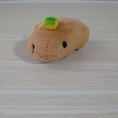 재가격 인하 카피바라씨도 푹 클리너2