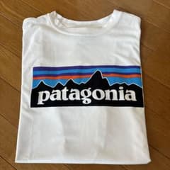 パタゴニア　Ｔシャツのサムネイル