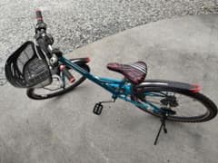専用　ブリヂストン　子供自転車のサムネイル