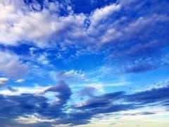 まい☆プロフ必読様専用のサムネイル