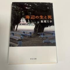 海辺の生と死 島尾ミホ 中公文庫のサムネイル