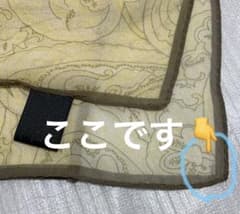 【訳あり】アンタイトル　ペイズリー柄 シフォンスカーフ ベージュ系50cmのサムネイル