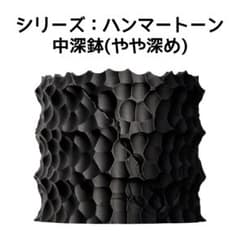 植木鉢 3Dプリンター鉢 3号~8号 中深鉢(やや深め) 塊根 多肉 亀甲竜等のサムネイル