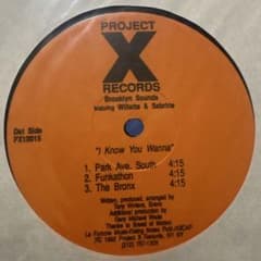 Brooklyn Sounds I Know You Wanna 90sDJ向けのサムネイル
