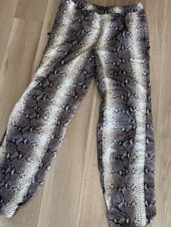 Supreme The North Face Snakeskin Pantのサムネイル