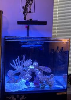 RedSea REEFER170 オーバーフロー水槽　リーファー　+4万で発送可のサムネイル