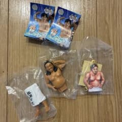 体格ブラザーズ ガチャ 秋山 平子のサムネイル
