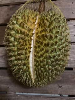 訳あり 新鮮生ドリアン（3.0-3.3kg）のサムネイル
