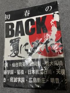 高校野球甲子園タオルのサムネイル