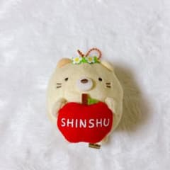 당지 스미코구라시 고양이 신슈 봉제인형