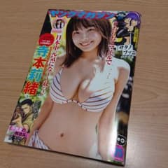寺本莉緒  ヤングマガジンのサムネイル