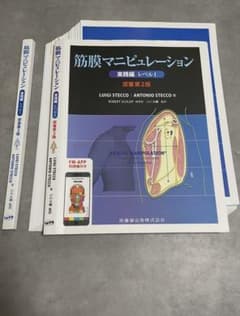 裁断済・格安】筋膜マニピュレーション 実践編レベル1 原著第2版