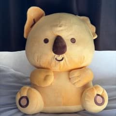 コアラのマーチ　ぬいぐるみのサムネイル