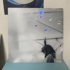 小沢健二 - 日比谷野音の小沢健二 オフィシャル海賊盤（アナログLP