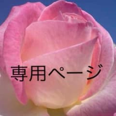 acey様専用ページのサムネイル
