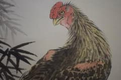 真作/独歩/軍鶏/シャモ図/鶏/干支/桐共箱付/布袋屋掛軸HI-993 m48947079527_1.jpg?1715658257