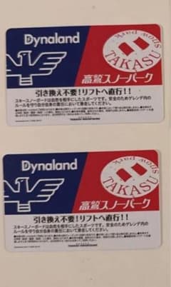 【即日発送・匿名】ダイナランド・高鷲スノーパーク　共通リフト券 2枚　土日利用可のサムネイル