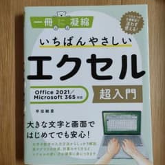 いちばんやさしいエクセル 超入門のサムネイル