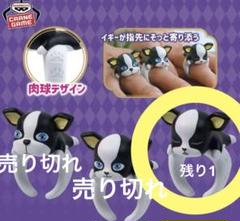 ジョジョの奇妙な冒険 ちょこのりング、イギー