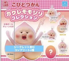 こびとづかん カクレモモジリ コレクション 全6種 コンプリートセット