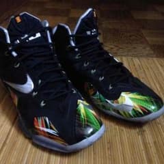 NIKE ジェームズ LEBRON XI レブロン11 US9 27.0のサムネイル