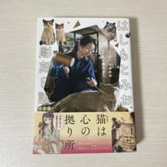 はしもとみお 彫刻日誌 完全版のサムネイル